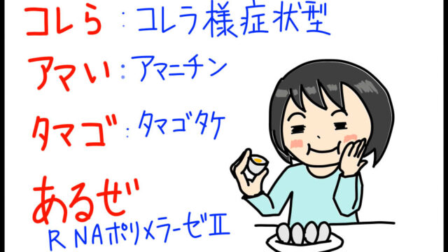 衛生学におけるコレラ様症状型キノコ毒のゴロイラスト